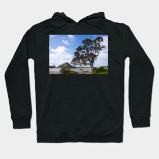 Pohutukawa tree on the foreshore. Hoodie